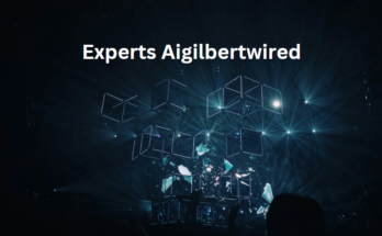 Experts Aigilbertwired