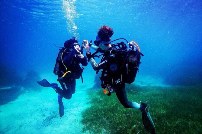 Diving into Ddyfa