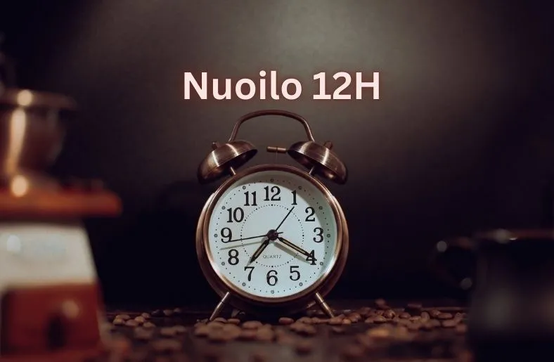 Nuoilo 12H: