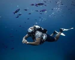Diving into Ddyfa